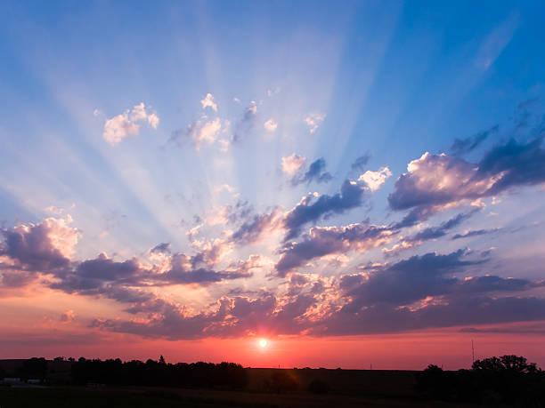 Debbie Adams Cover Image