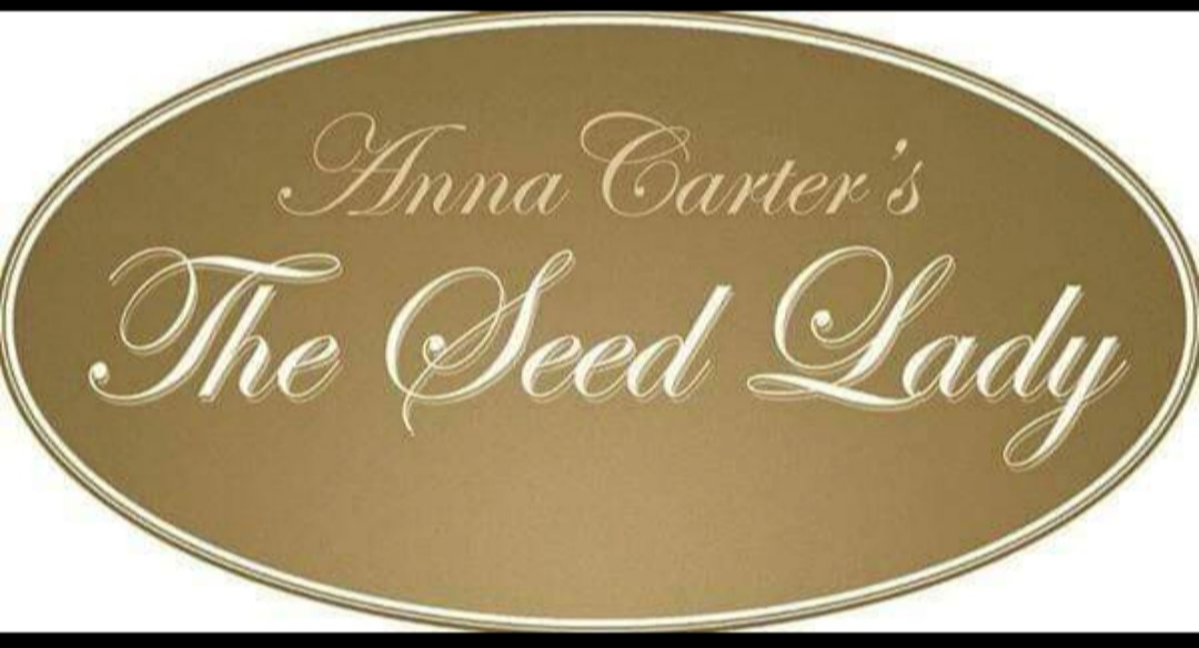 Dr. Anna Carter Profile Picture