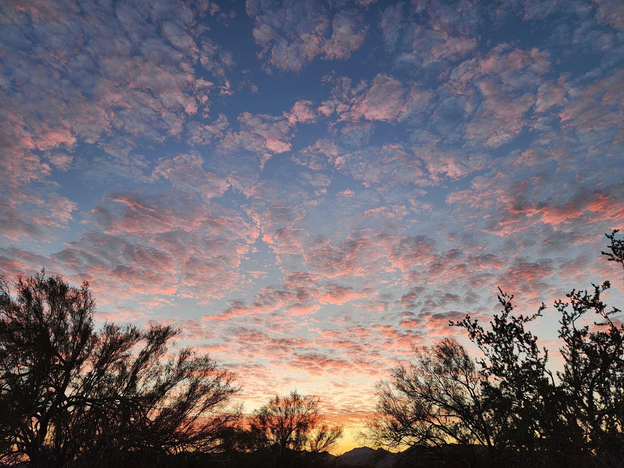 Anik Dean Cover Image