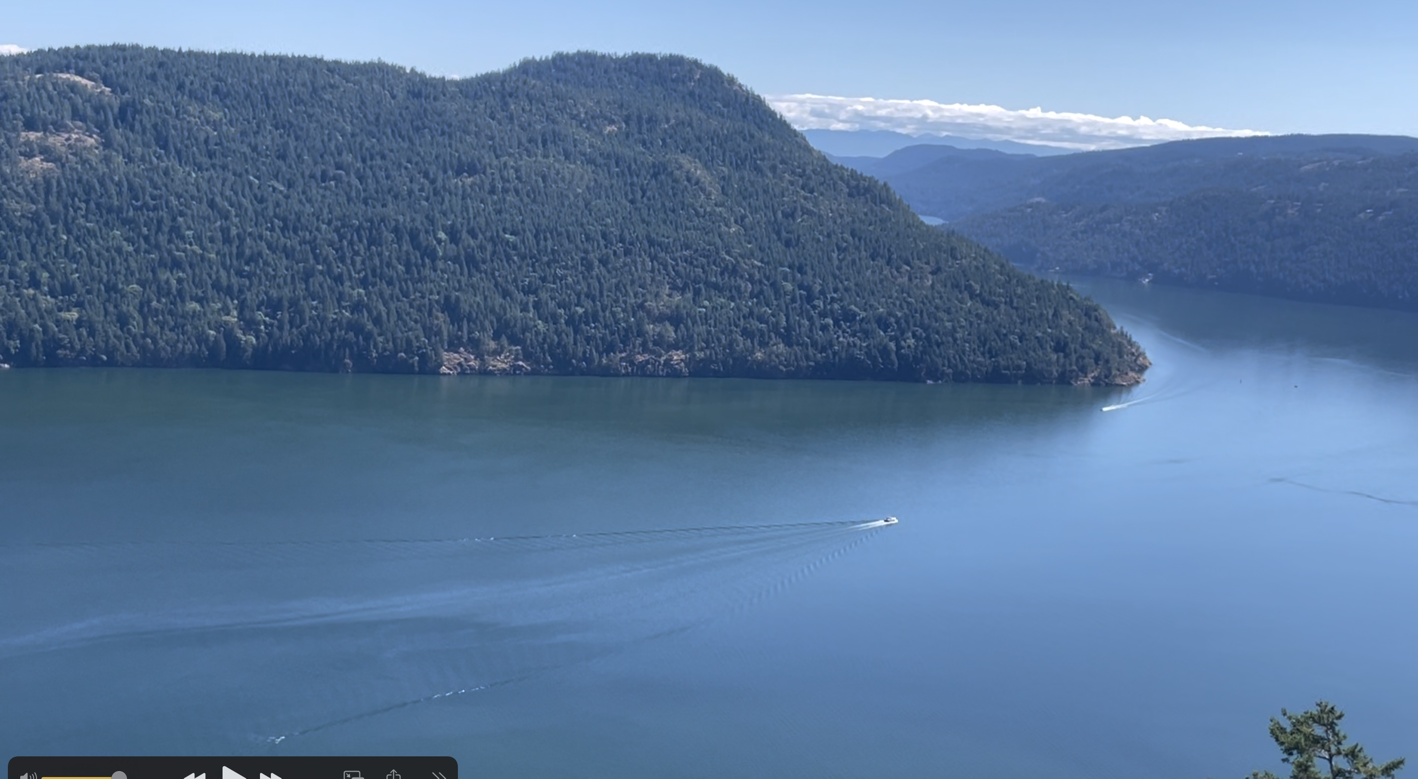 FANNY ELIZAGA Cover Image