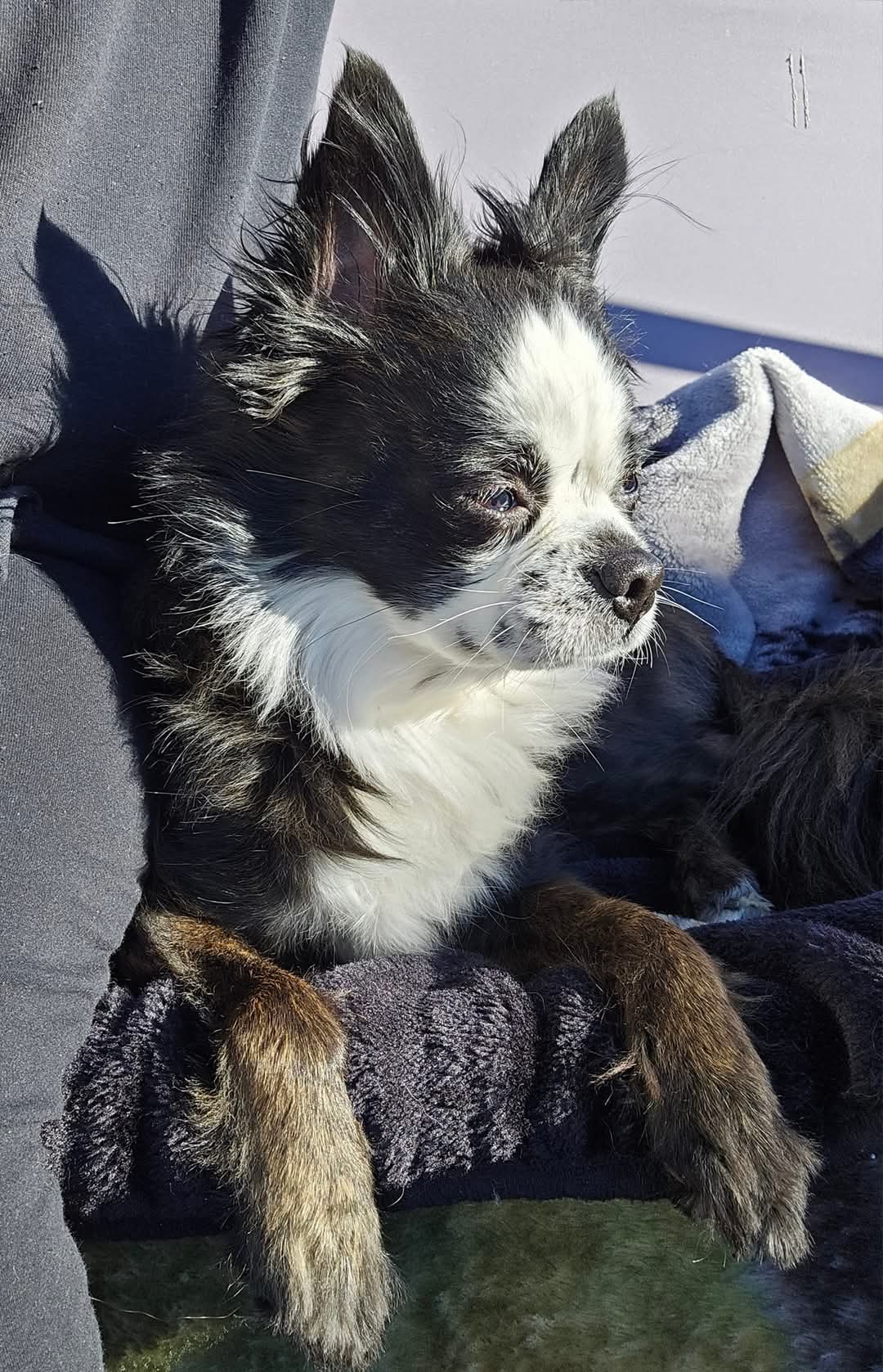 LoriYeag Profile Picture