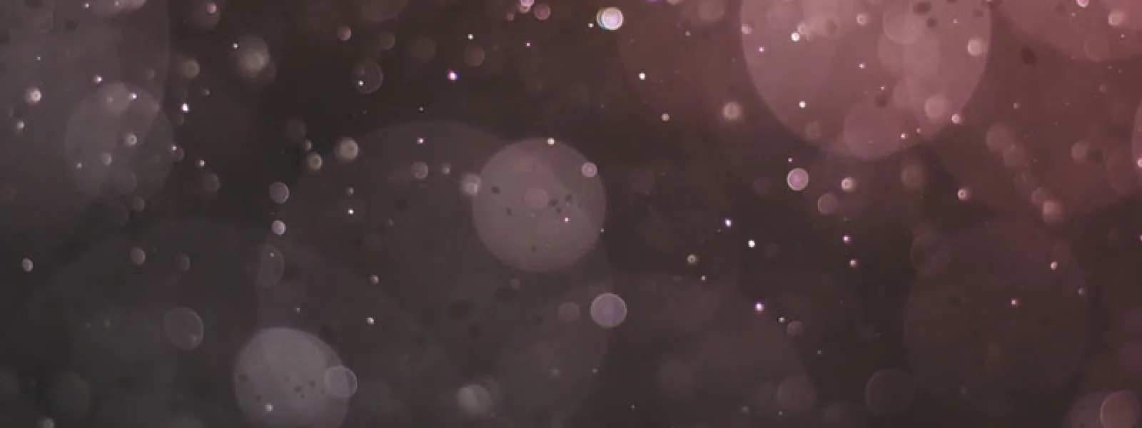 zodatusu Cover Image