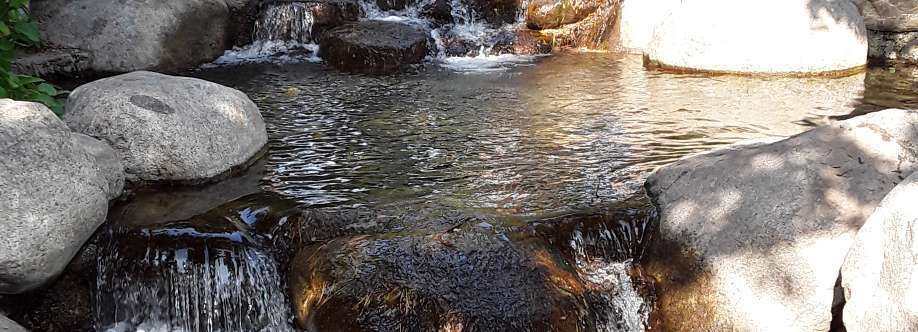 Dr. Cheryl Okoli Cover Image