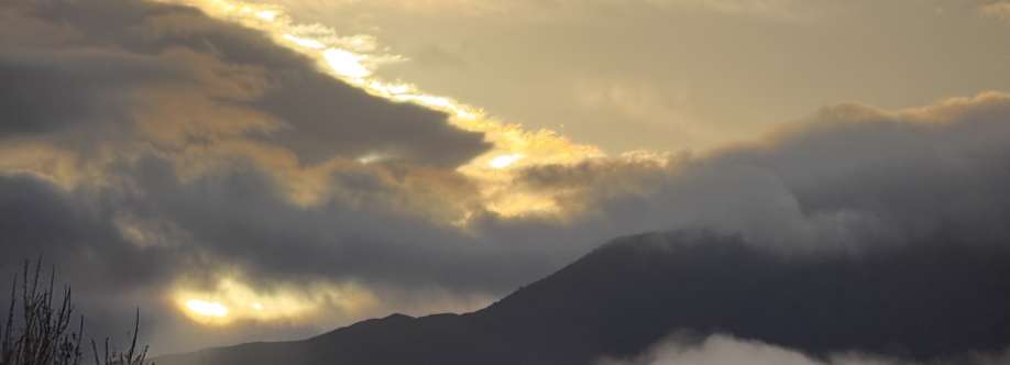 Robert Vermeiren Cover Image