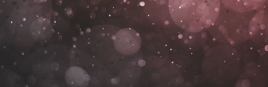 Terise Lang Cover Image